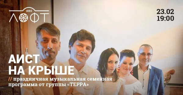 Аист на крыше