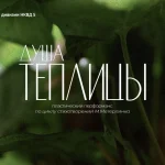 ДУША ТЕПЛИЦЫ