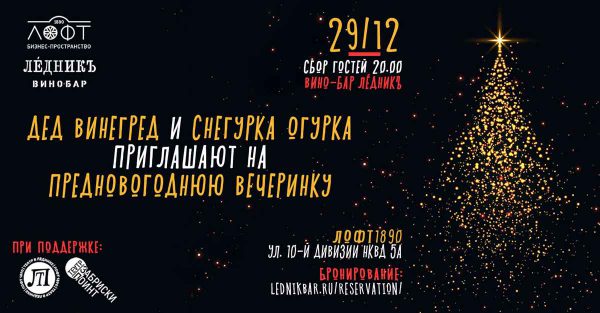 Вечеринка с Дедом Винегредом и Снегуркой Огуркой