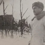 Остров в огне